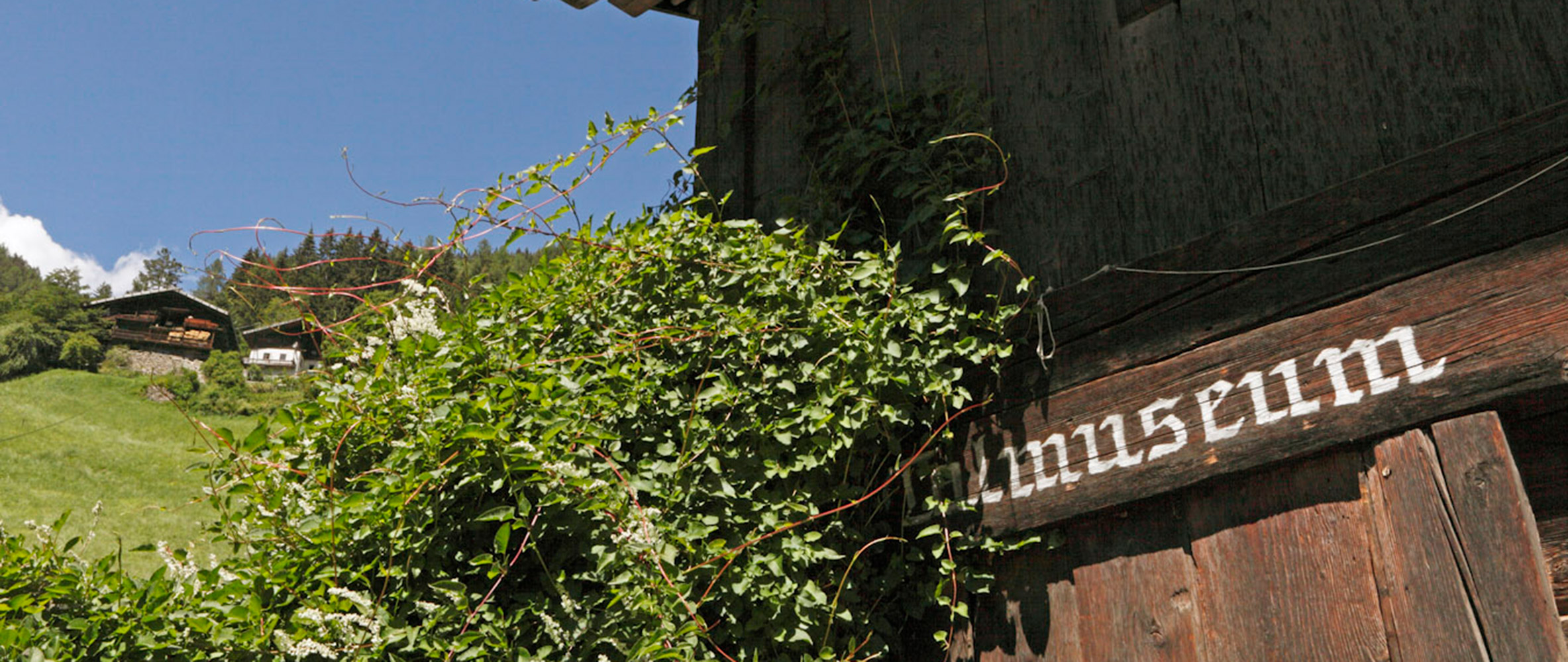 Freizeitangebote in Proveis - Hofschank Bachwiesl Hof