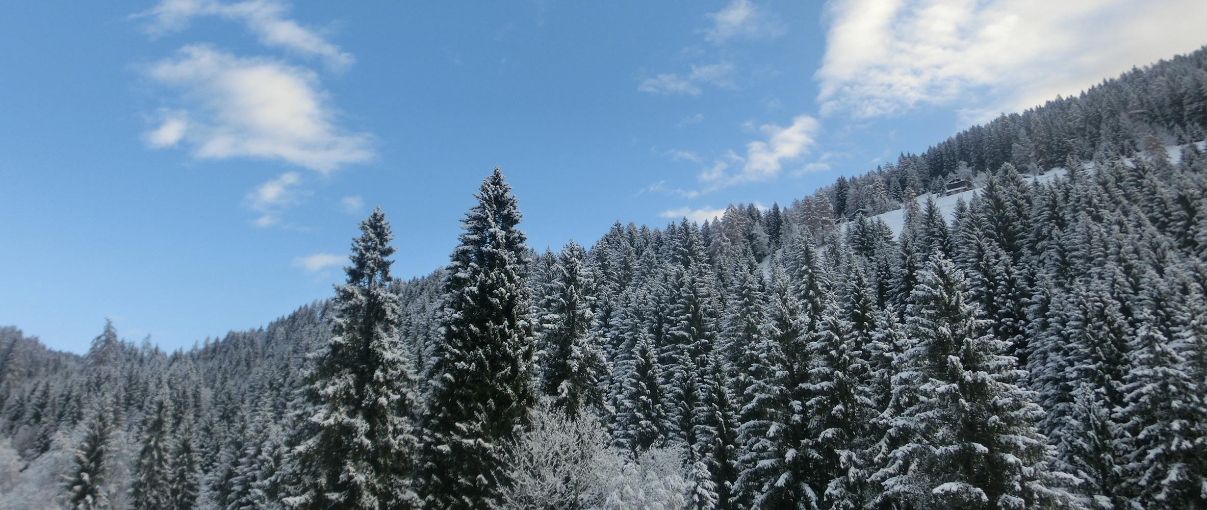 Jahreszeiten in Proveis - Bachwiesl Hof